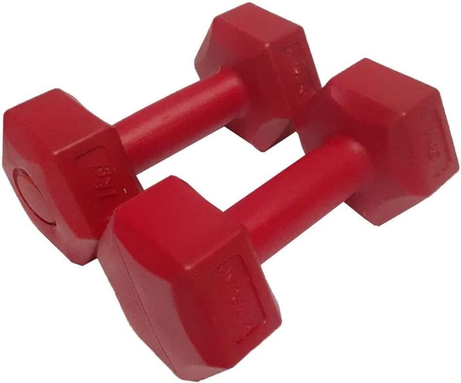 Dambıl 2x1Kg