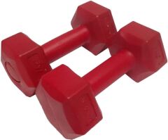Dambıl 2x1Kg