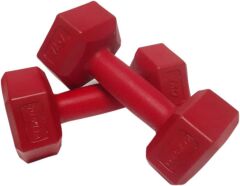 Dambıl 2x1Kg