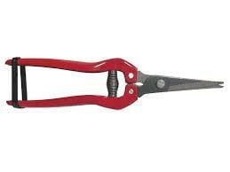 Yıngda Kırmızı Saplı Üzüm Makası*30