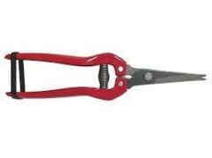 Yıngda Kırmızı Saplı Üzüm Makası*30