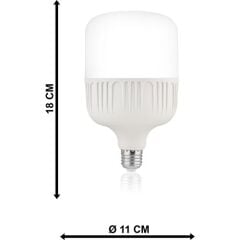 Thorlight 30W Beyaz(6400K) Torch Ampul *20