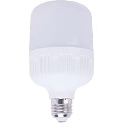 Thorlight 40W Beyaz(6400K) Torch Ampul *20