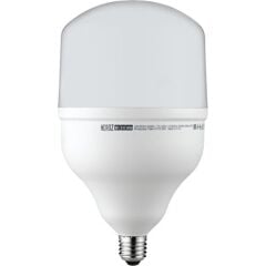 Thorlight 50W Beyaz(6400K) Torch Ampul *20