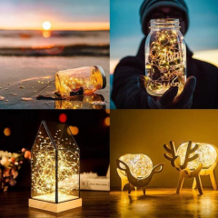 Wn-1212 Peri Led Günışığı 5mt*10