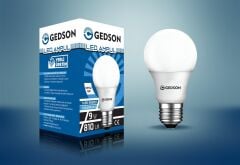 Gedson 9W Led Ampul*10x10=100