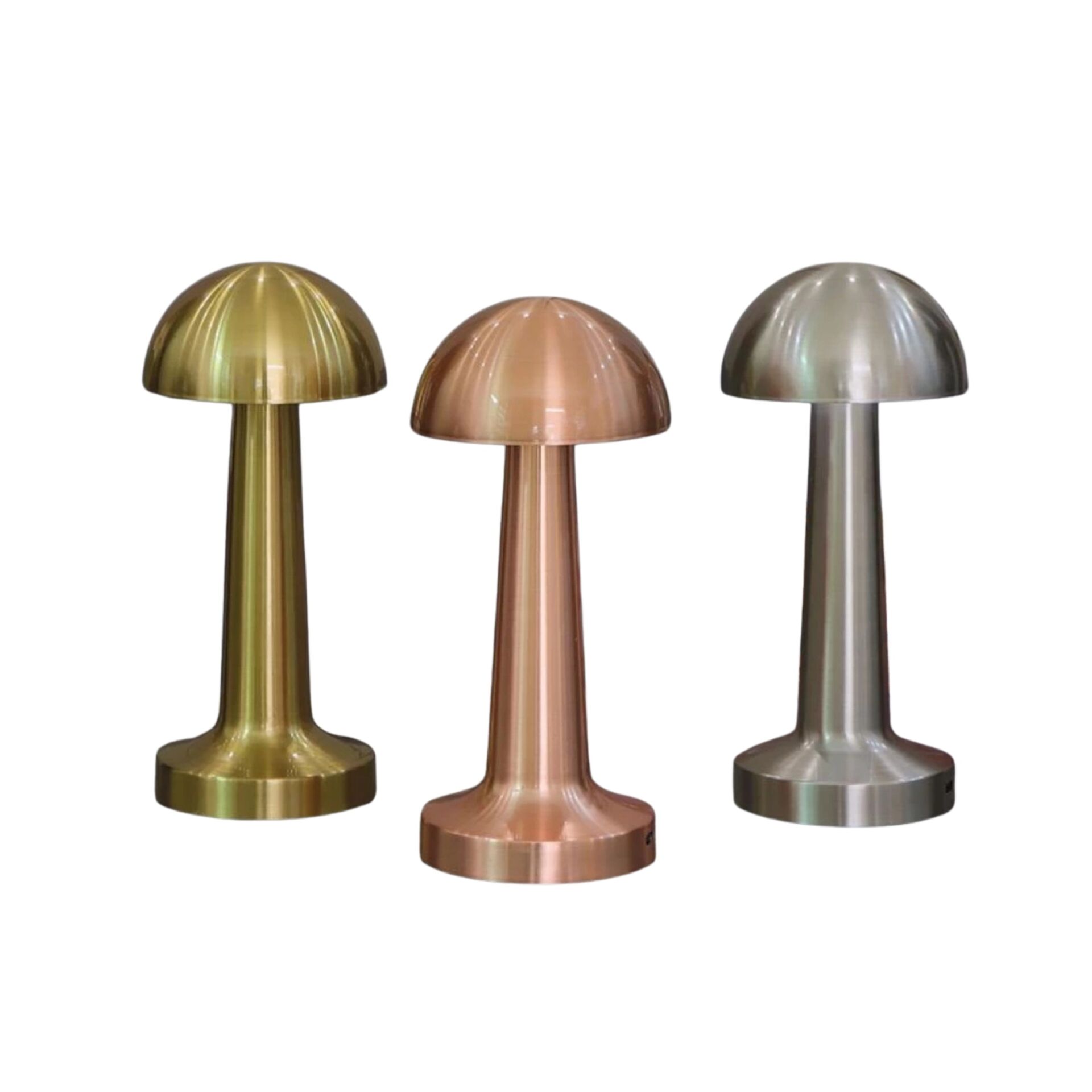 Winnboss EKL-02 Şarjlı Led Masa Lambası*50