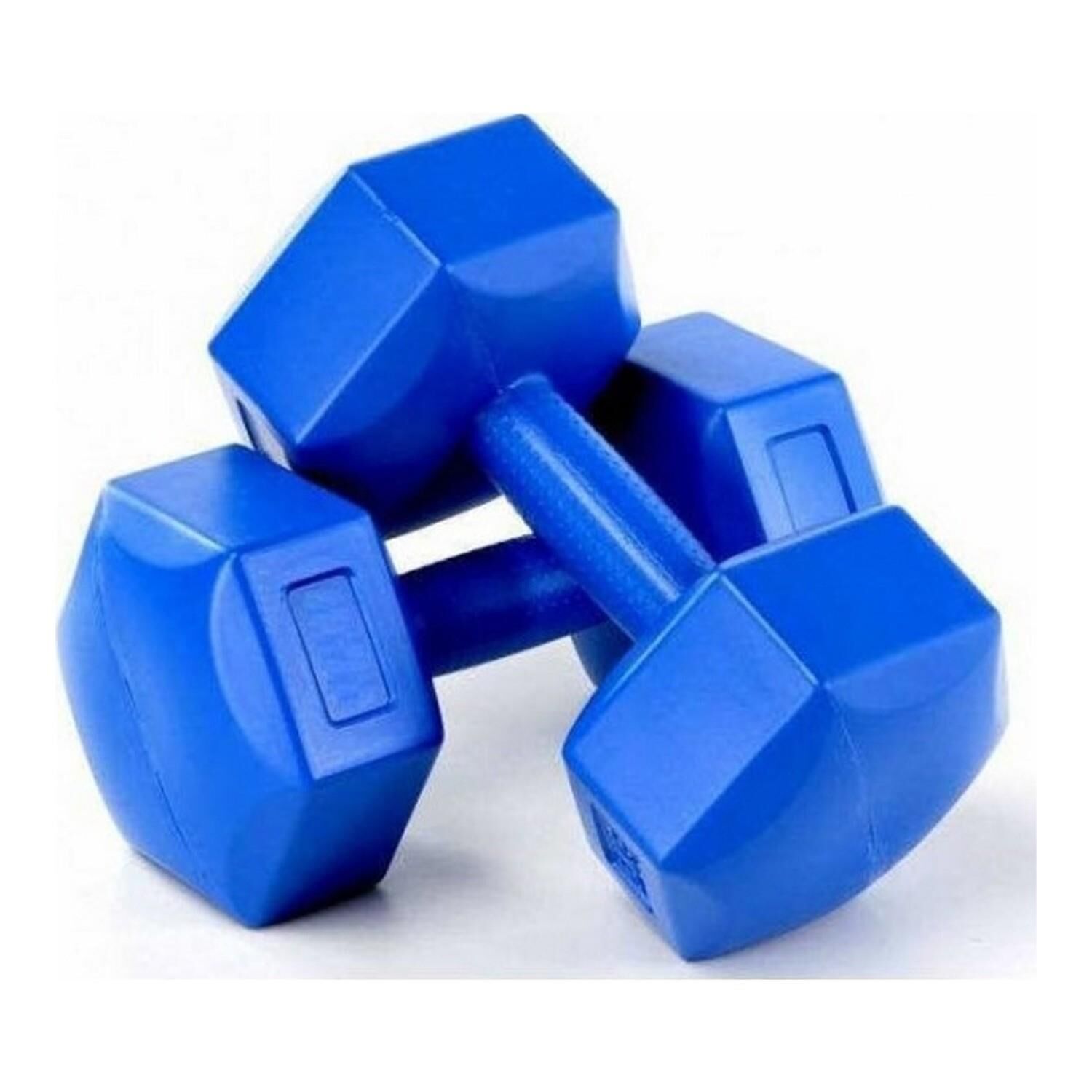 Dambıl 2x8Kg